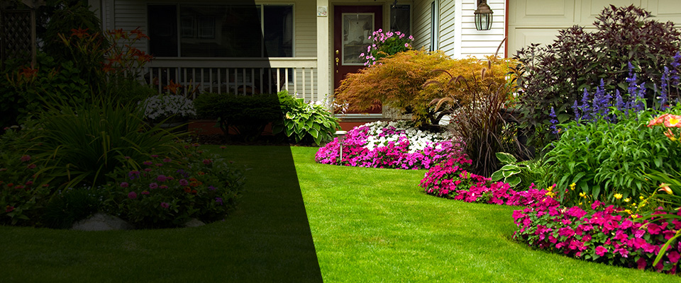 Queenstown Landscapers