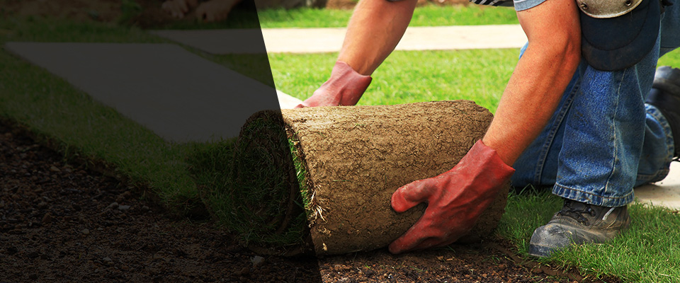 Queenstown Landscapers